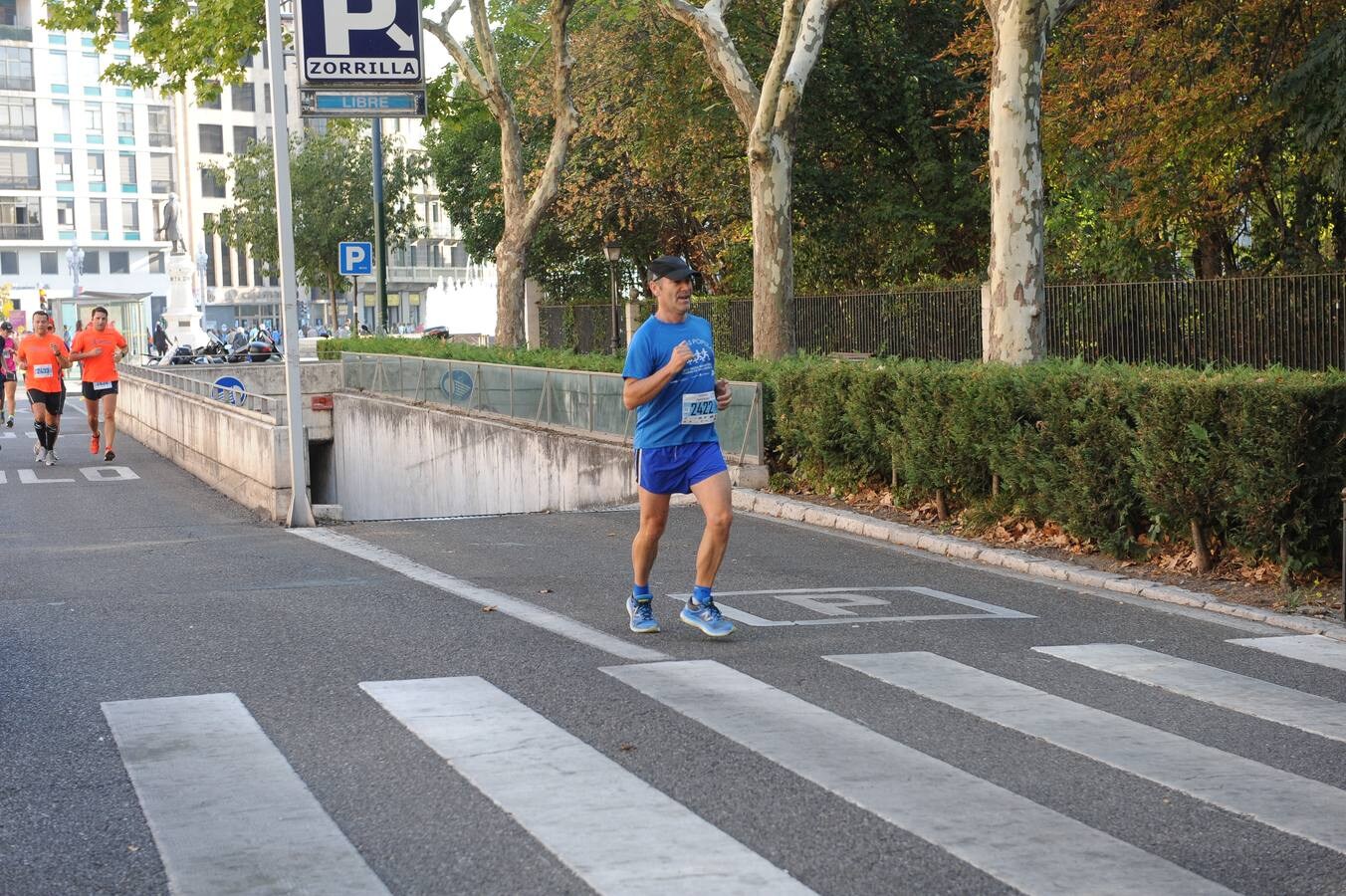 XXIX Media Maratón Ciudad de Valladolid y V Legua (3/4)