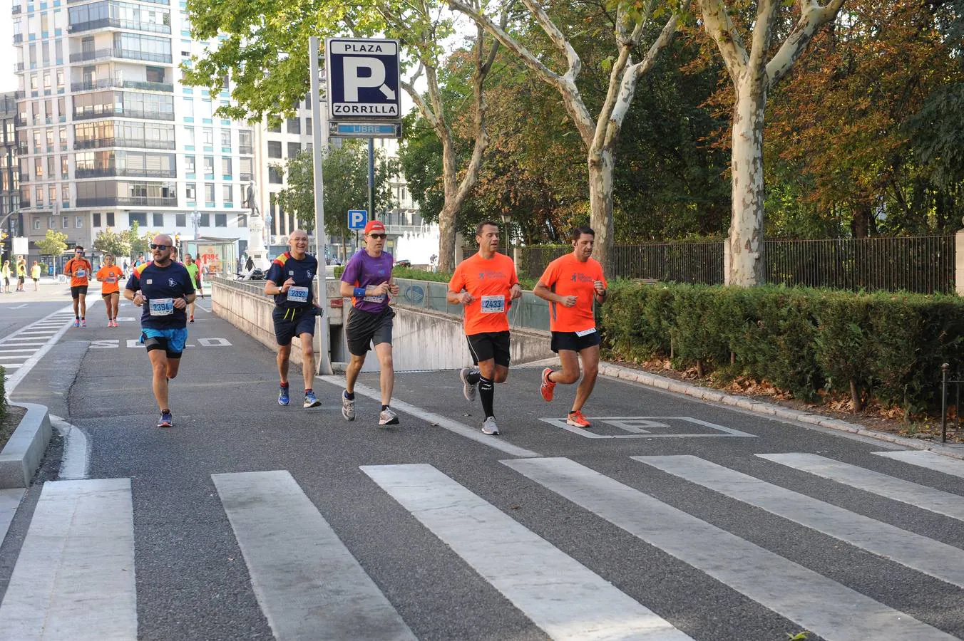 XXIX Media Maratón Ciudad de Valladolid y V Legua (3/4)