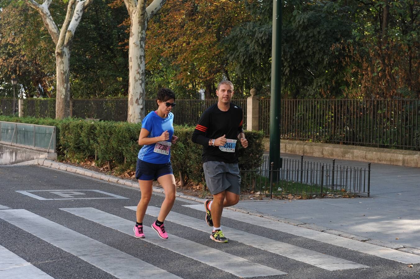 XXIX Media Maratón Ciudad de Valladolid y V Legua (3/4)