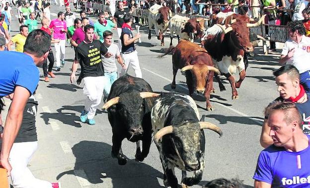 El encierro de ayer, por las calles de Nava. 