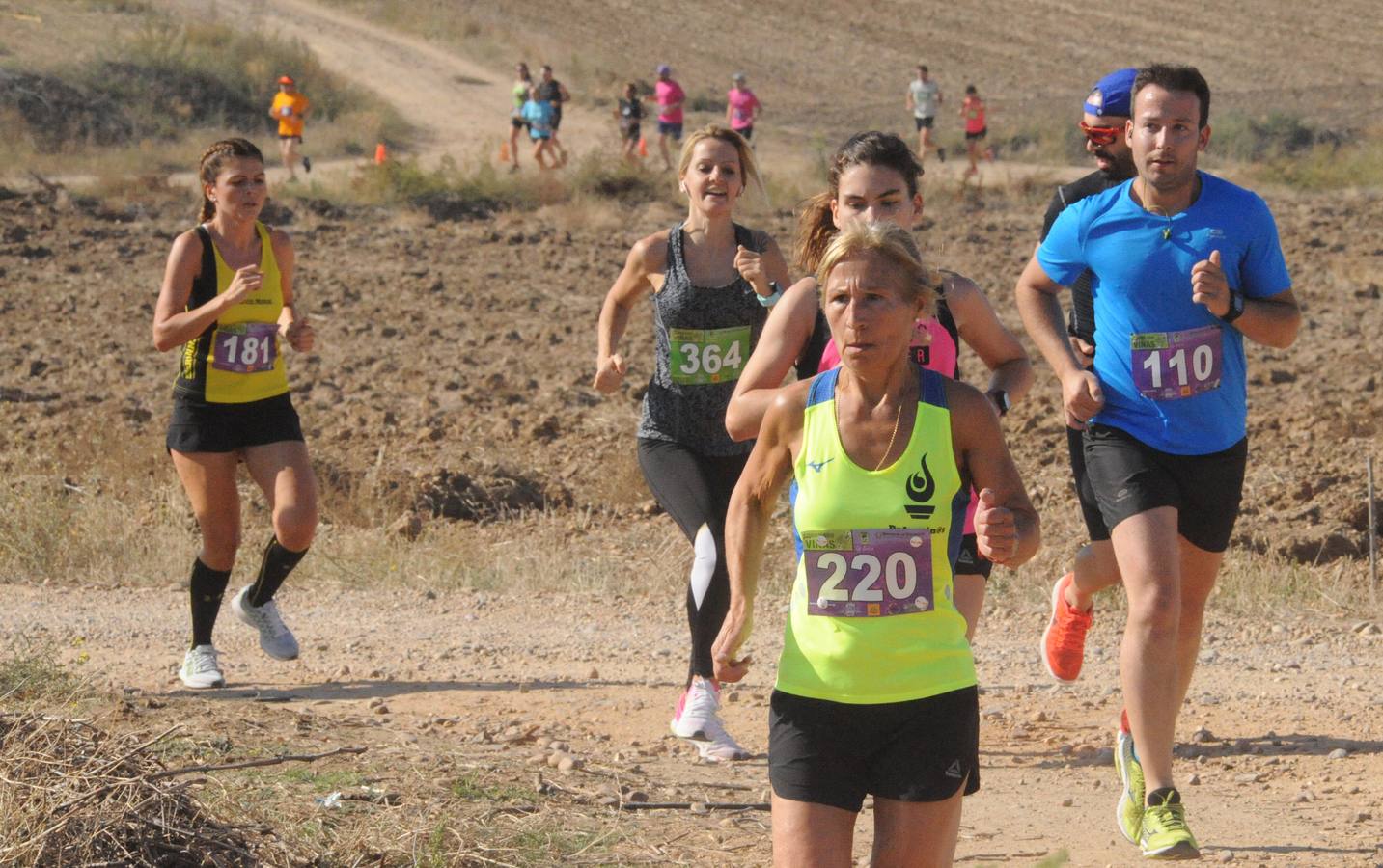 Circuito &#039;Corriendo entre Viñas&#039;