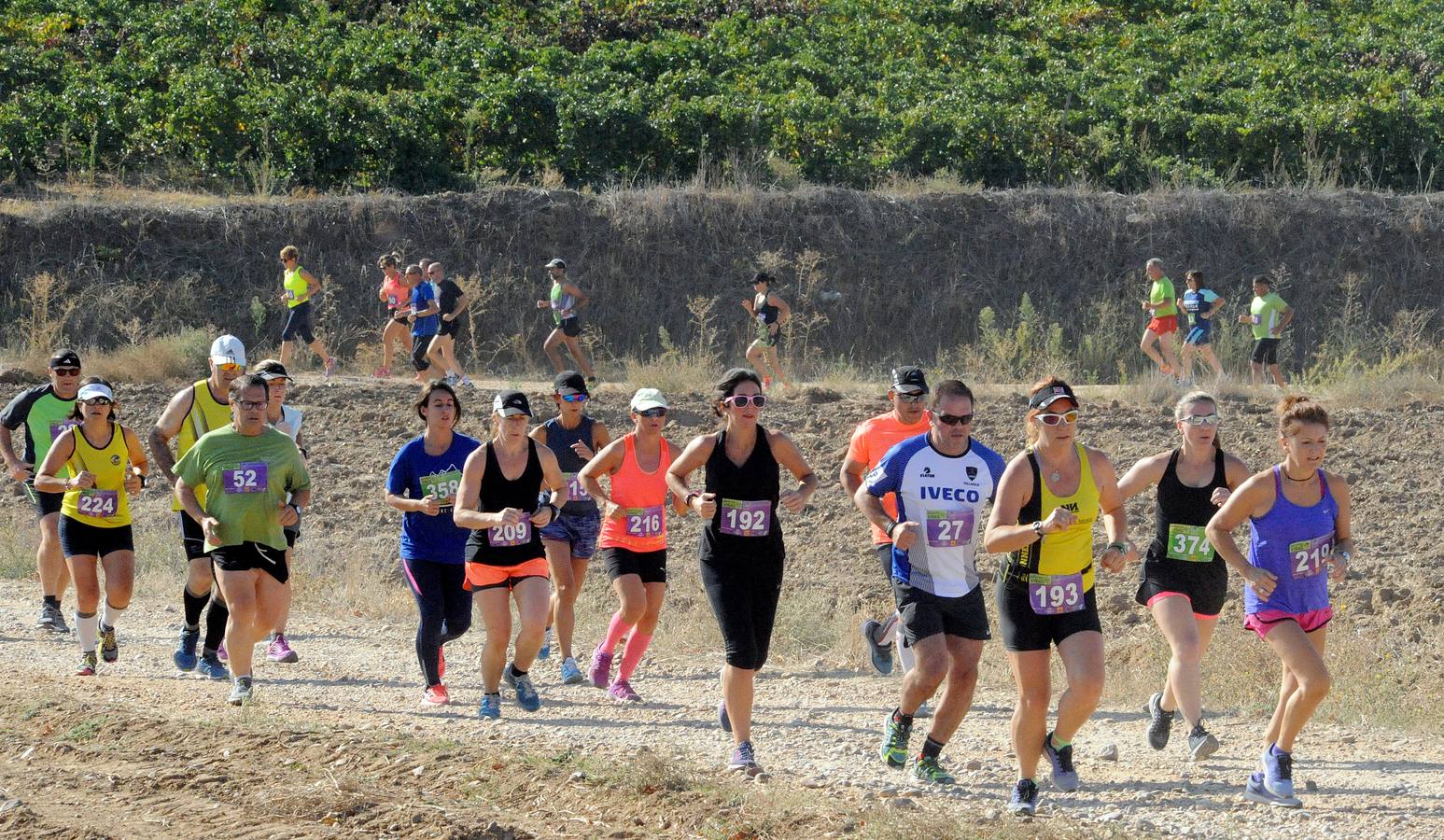 Circuito &#039;Corriendo entre Viñas&#039;