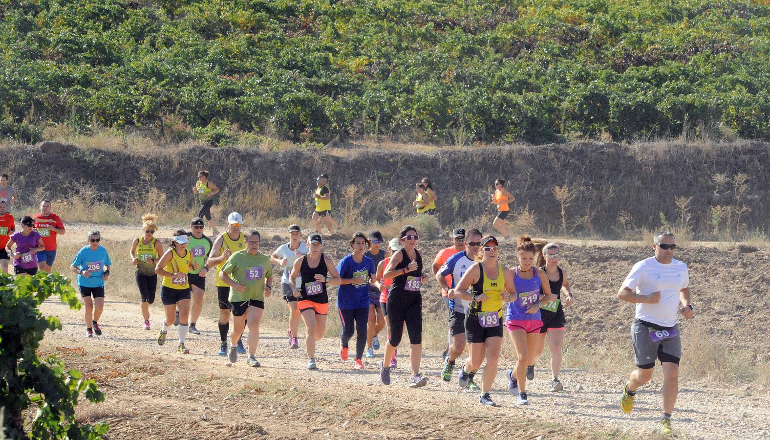 Circuito &#039;Corriendo entre Viñas&#039;