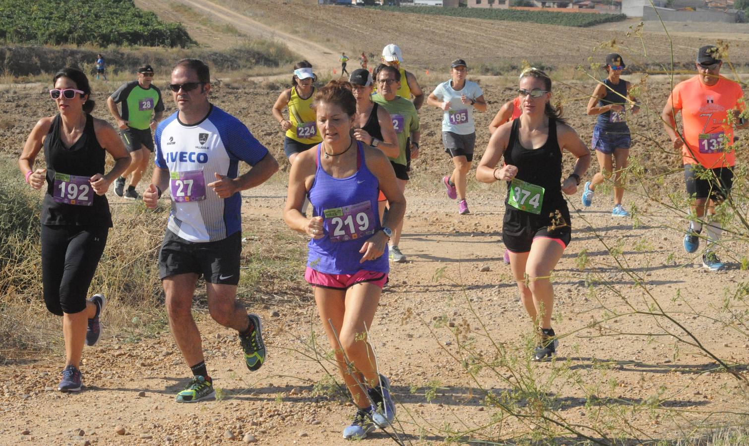 Circuito &#039;Corriendo entre Viñas&#039;