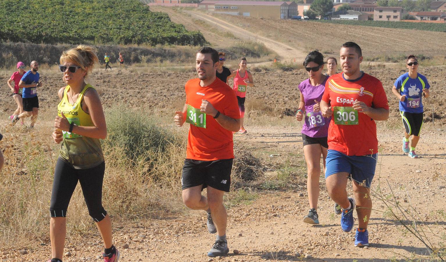 Circuito &#039;Corriendo entre Viñas&#039;