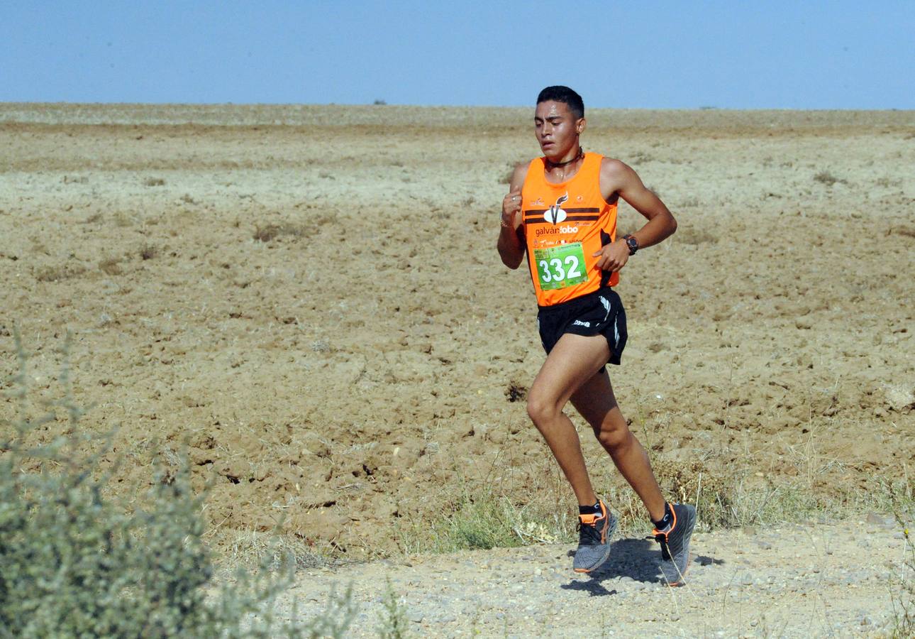 Circuito &#039;Corriendo entre Viñas&#039;