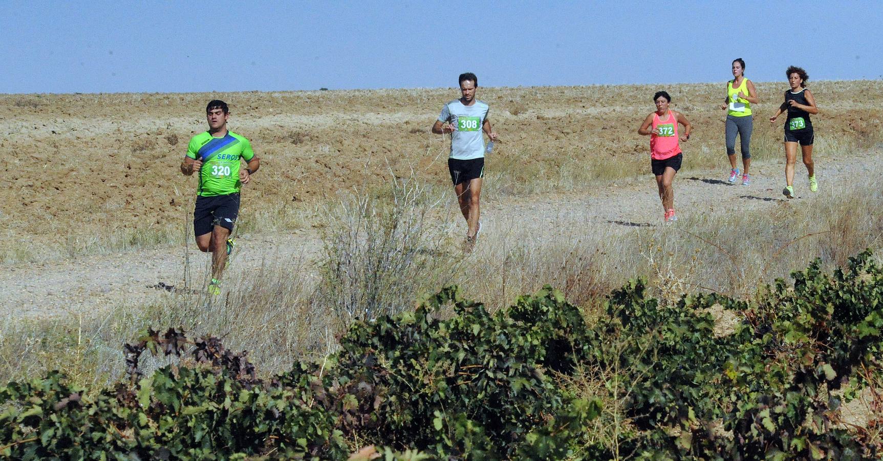 Circuito &#039;Corriendo entre Viñas&#039;