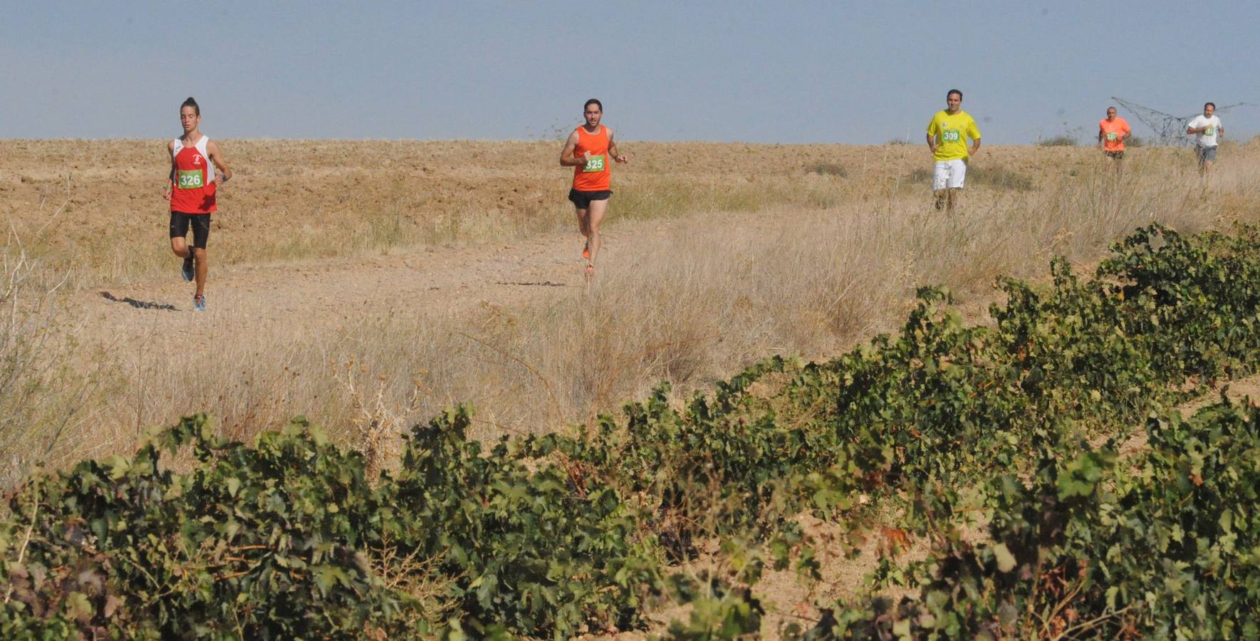 Circuito &#039;Corriendo entre Viñas&#039;