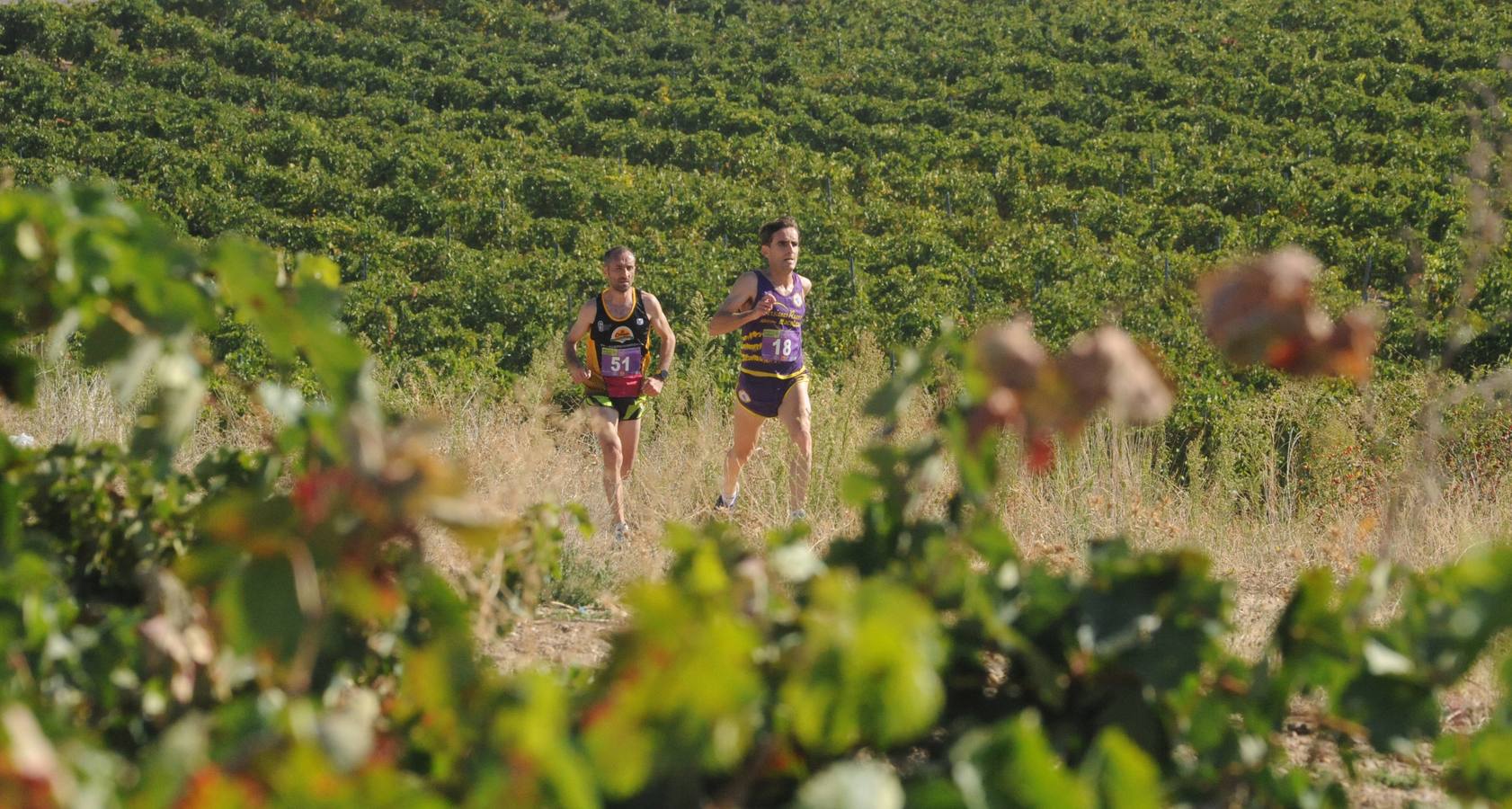 Circuito &#039;Corriendo entre Viñas&#039;