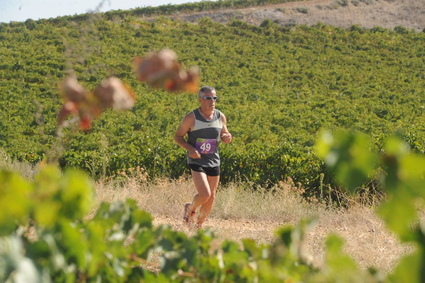 Circuito &#039;Corriendo entre Viñas&#039;