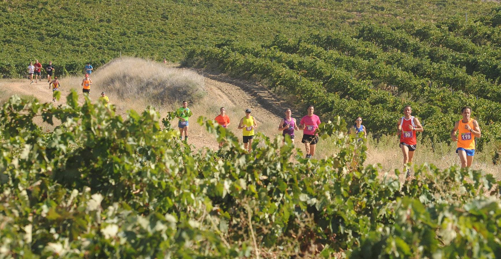 Circuito &#039;Corriendo entre Viñas&#039;