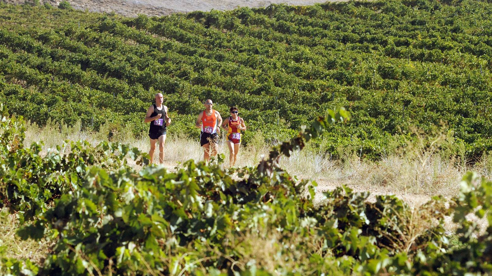 Circuito &#039;Corriendo entre Viñas&#039;