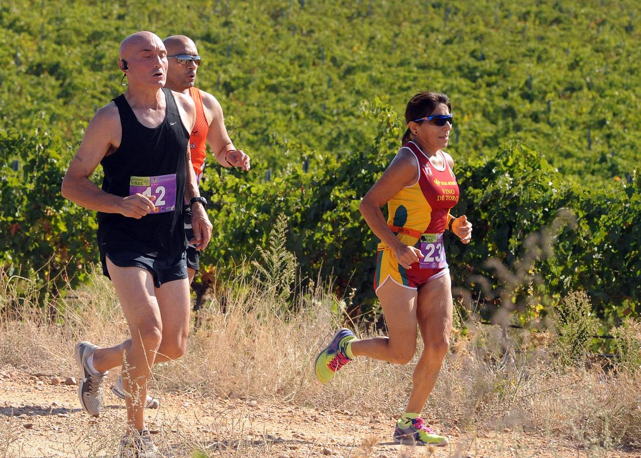 Circuito &#039;Corriendo entre Viñas&#039;