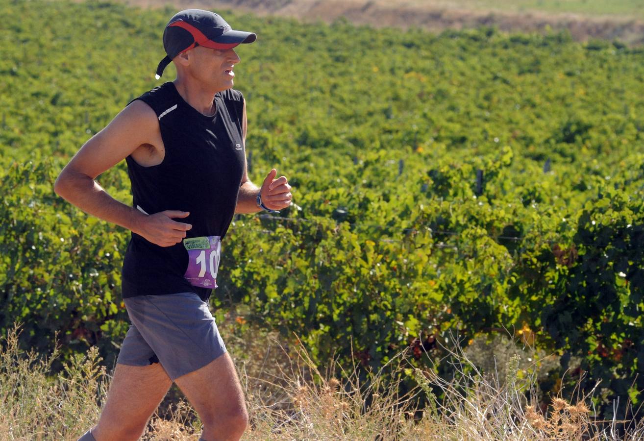 Circuito &#039;Corriendo entre Viñas&#039;