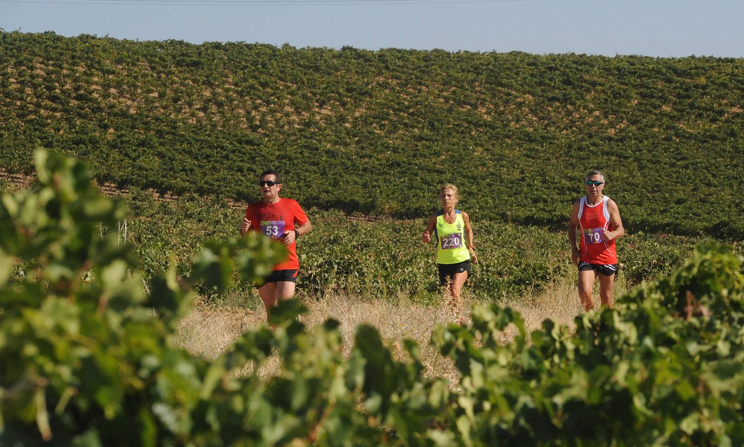 Circuito &#039;Corriendo entre Viñas&#039;