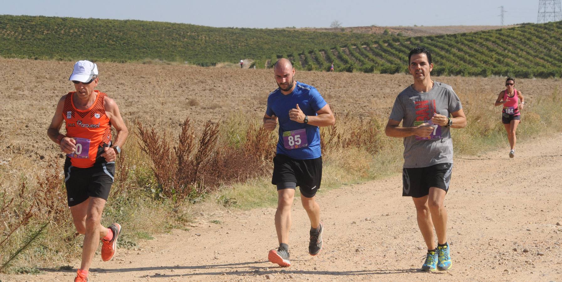 Circuito &#039;Corriendo entre Viñas&#039;