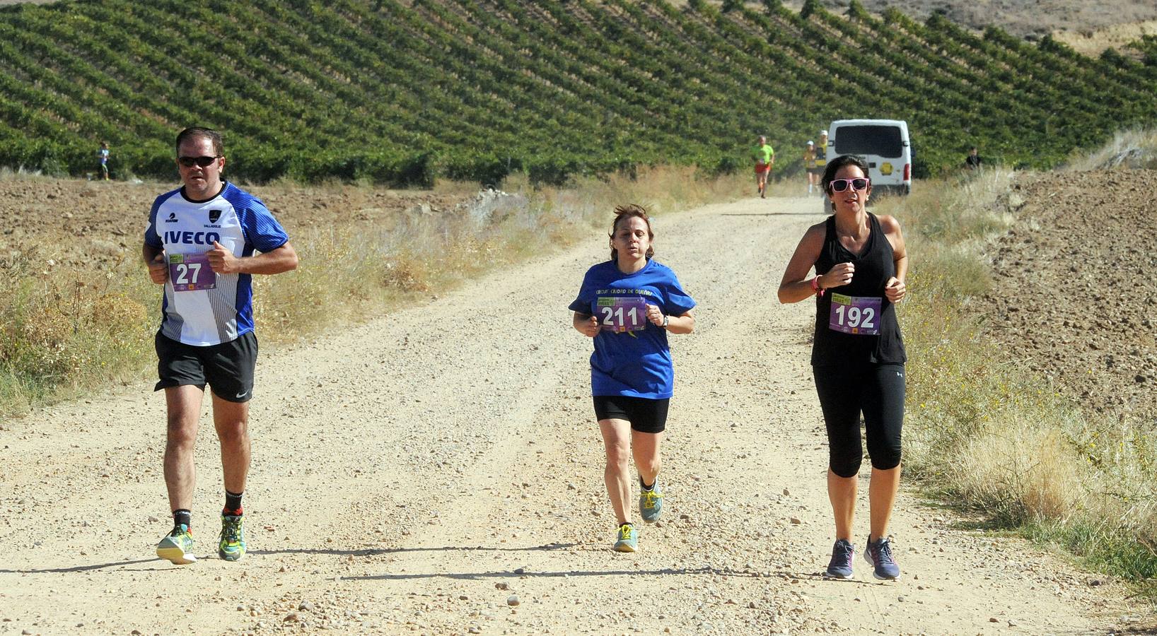 Circuito &#039;Corriendo entre Viñas&#039;