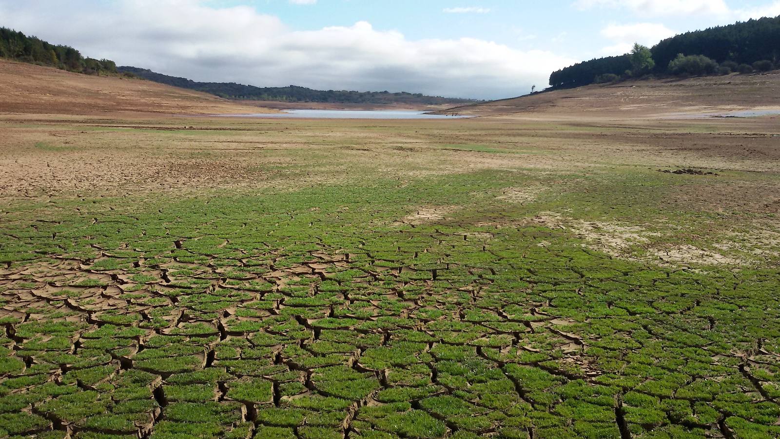 Los pantanos de Palencia sufren las consecuencias de la sequía