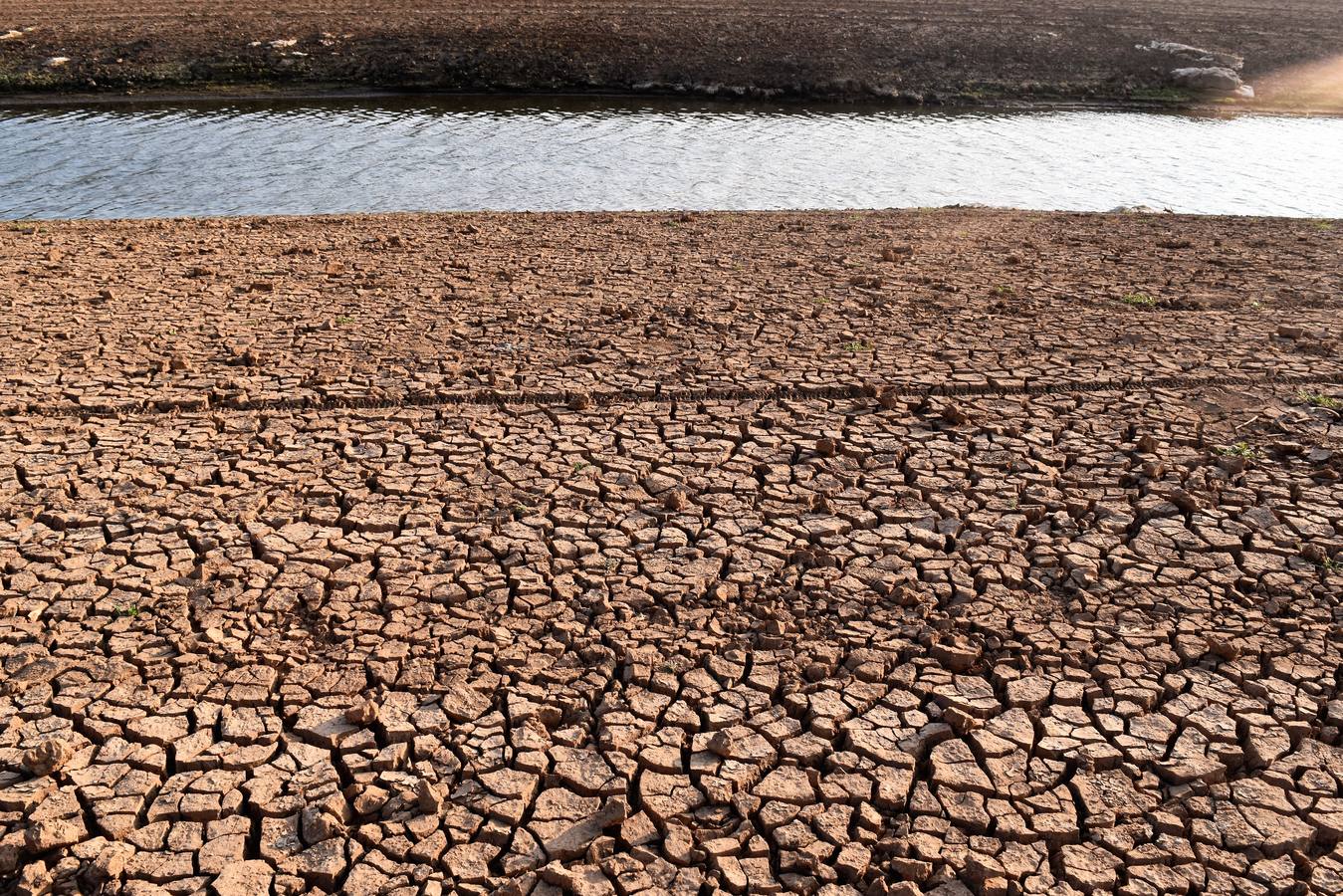 Los pantanos de Palencia sufren las consecuencias de la sequía