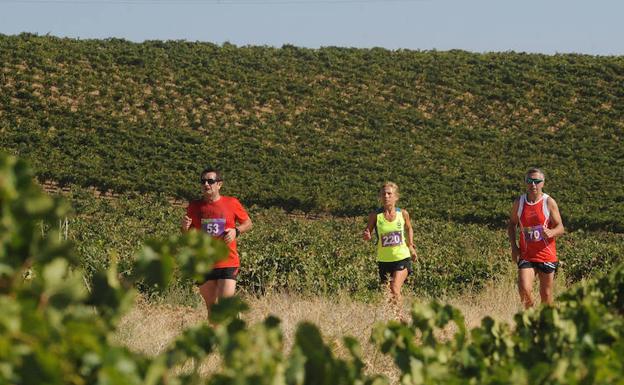 Carrera entre viñas