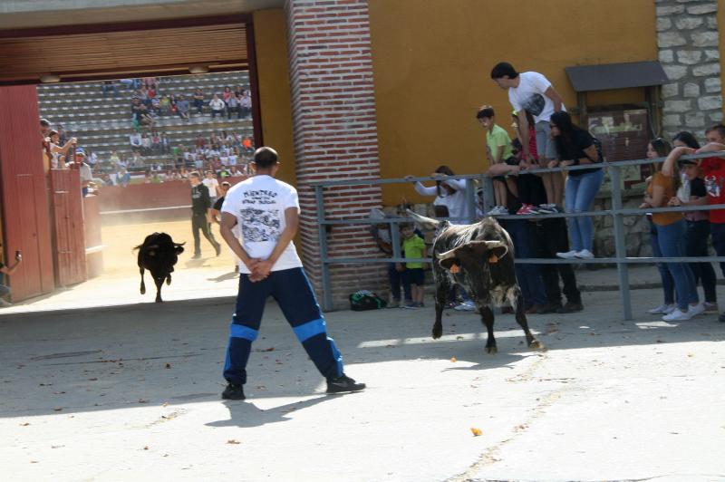 Cuéllar celebra las fiestas en honor a su patrón, San Miguel
