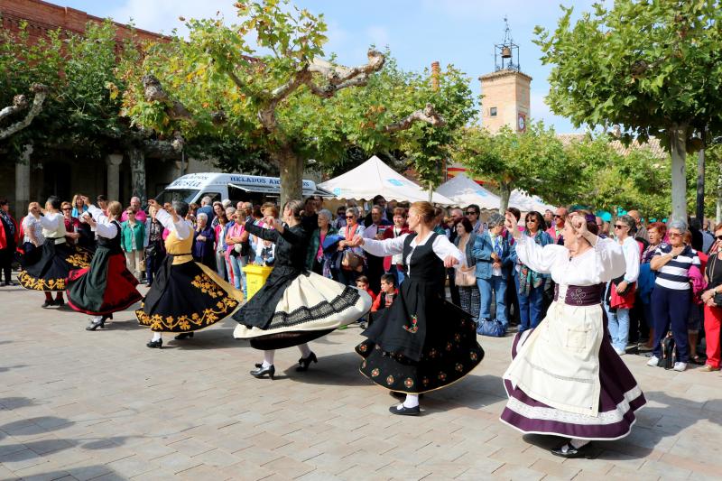 Día de la Provincia en Astudillo (Parte 2/2)