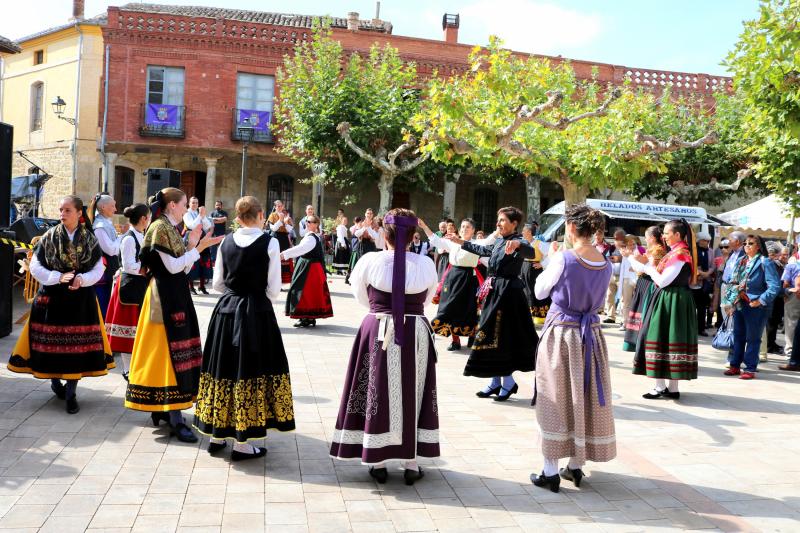 Día de la Provincia en Astudillo (Parte 2/2)