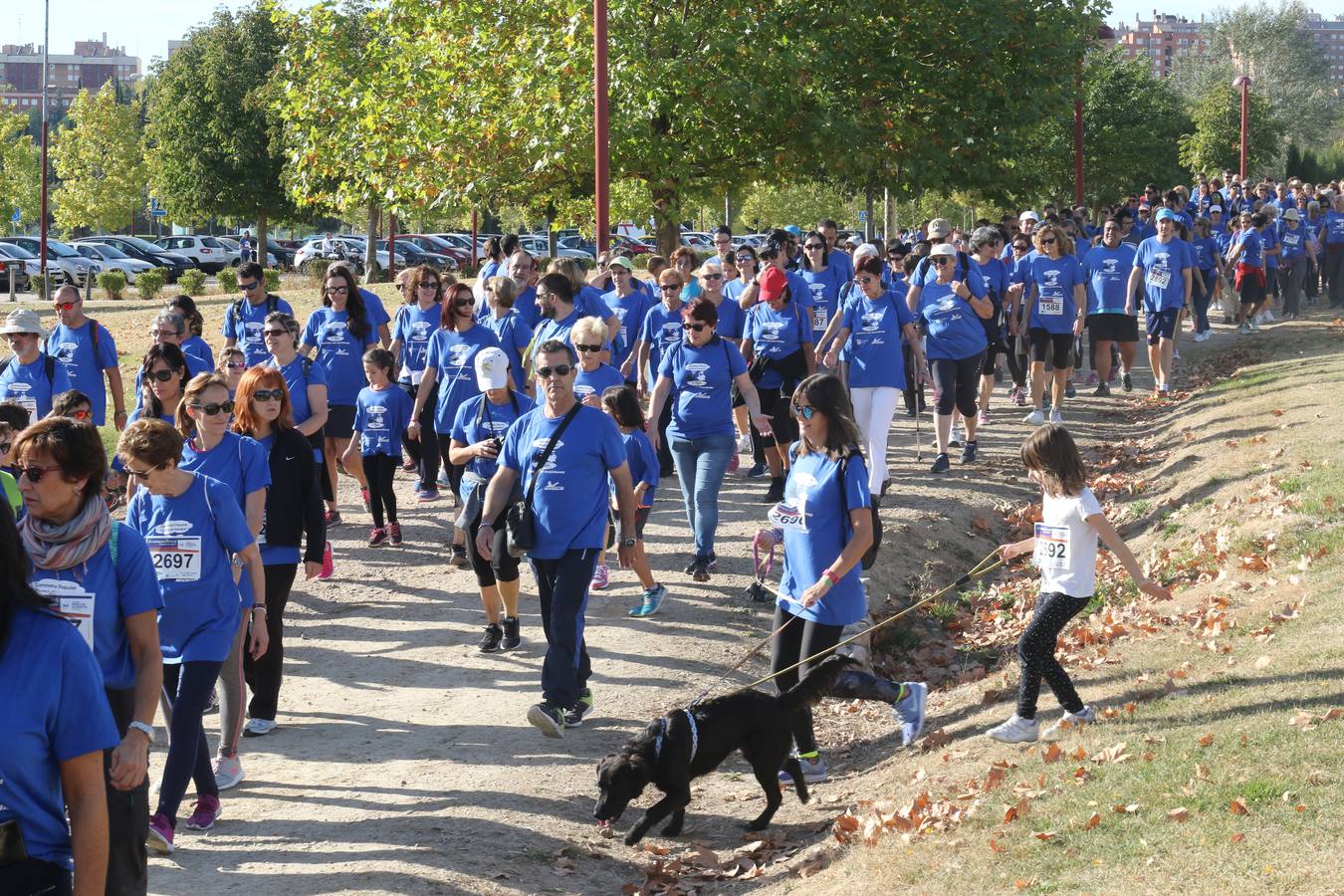 III Caminata solidaria por el Banco de Alimentos (2/2)