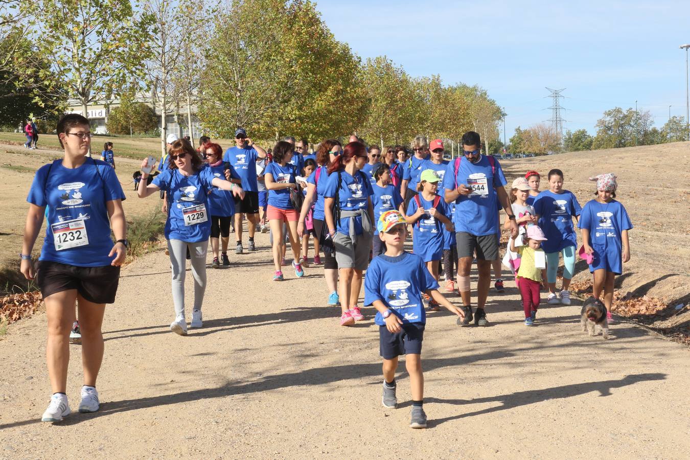 III Caminata solidaria por el Banco de Alimentos (1/2)