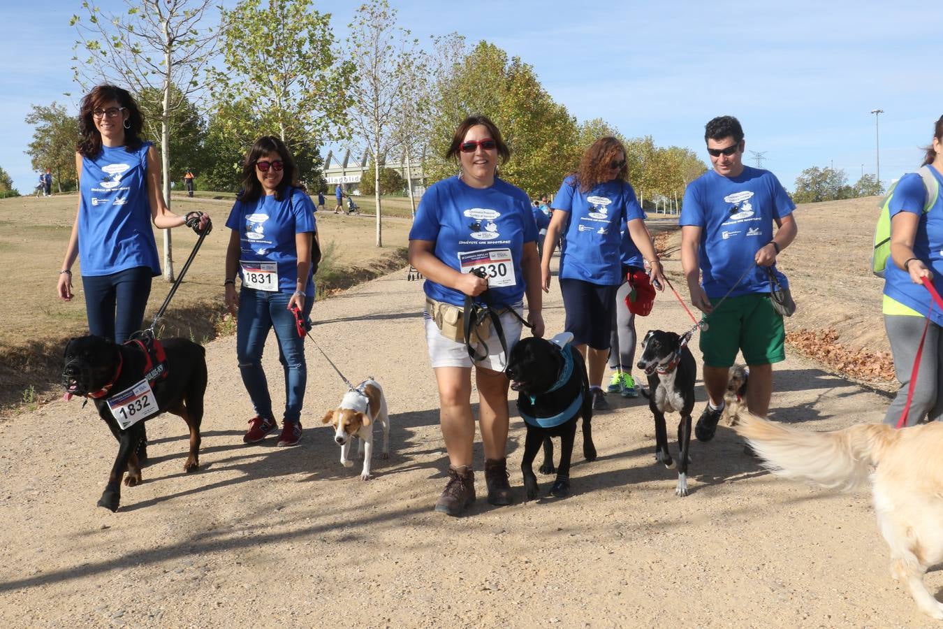 III Caminata solidaria por el Banco de Alimentos (1/2)