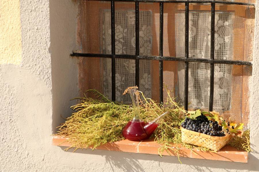 XX Fiesta de la Vendimia del Arlanza en Valdecañas de Cerrato (1/3)