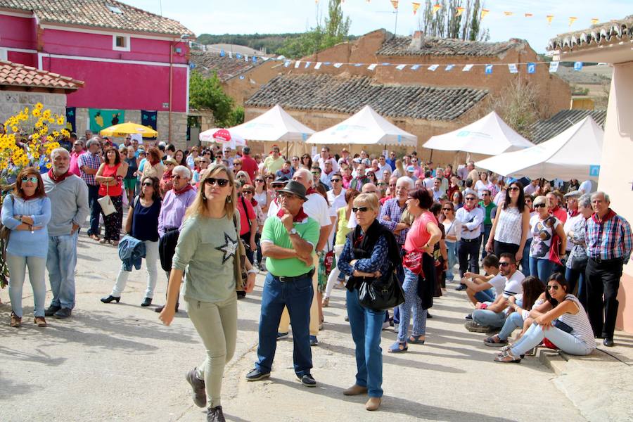 XX Fiesta de la Vendimia del Arlanza en Valdecañas de Cerrato (1/3)
