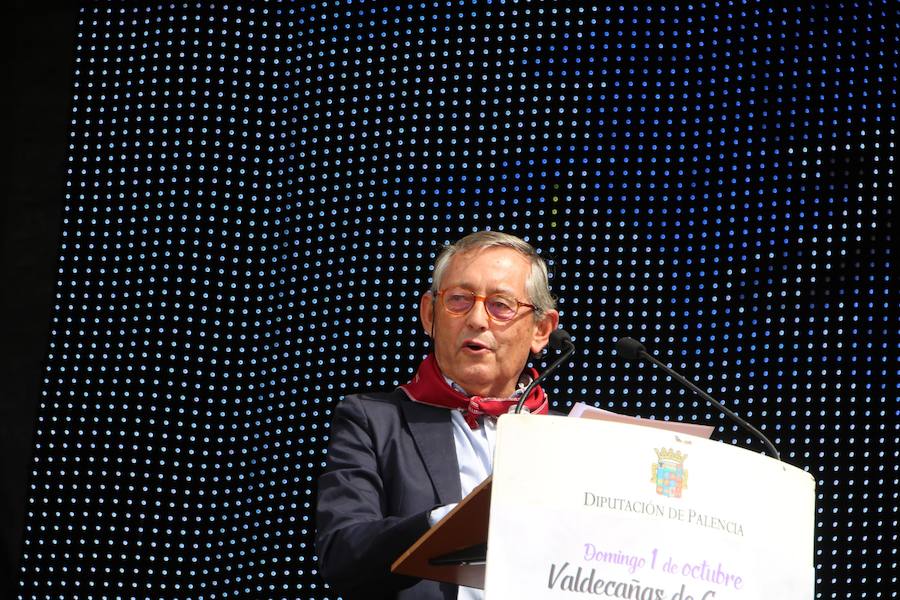 XX Fiesta de la Vendimia del Arlanza en Valdecañas de Cerrato (1/3)