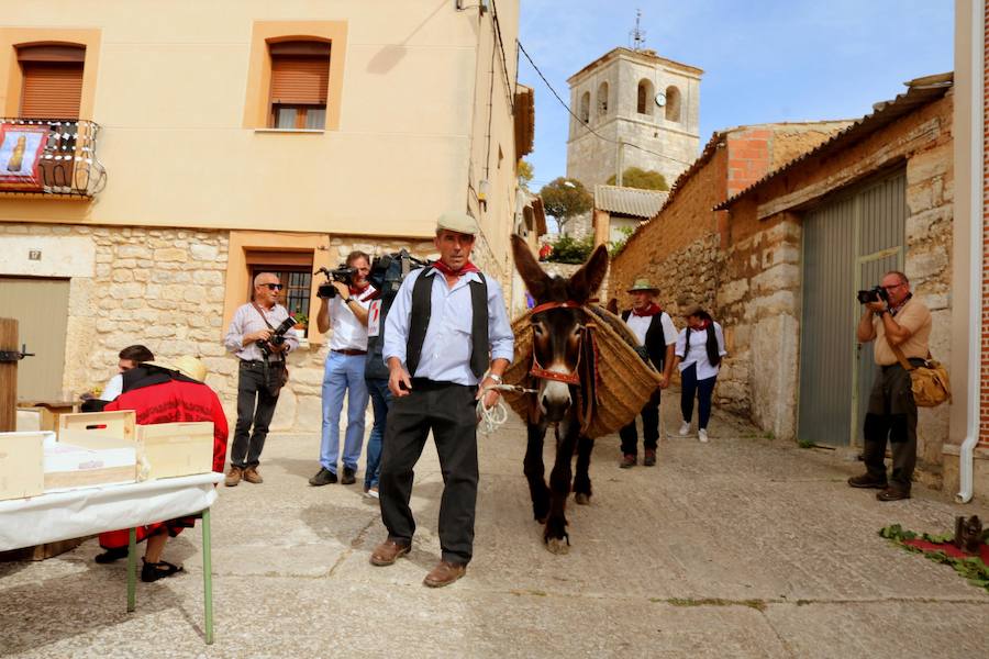 XX Fiesta de la Vendimia del Arlanza en Valdecañas de Cerrato (1/3)