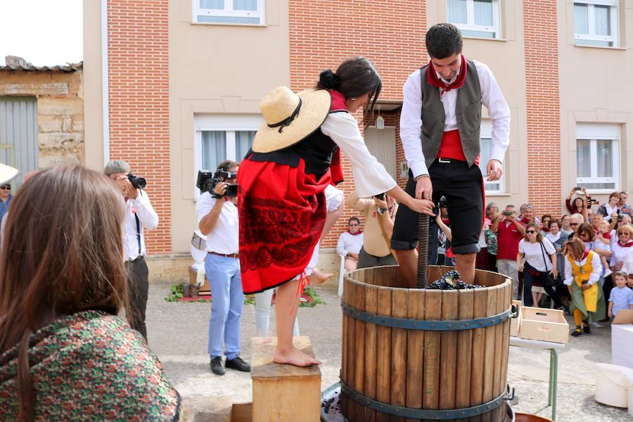 XX Fiesta de la Vendimia del Arlanza en Valdecañas de Cerrato (1/3)