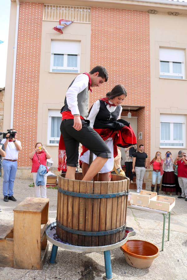 XX Fiesta de la Vendimia del Arlanza en Valdecañas de Cerrato (1/3)