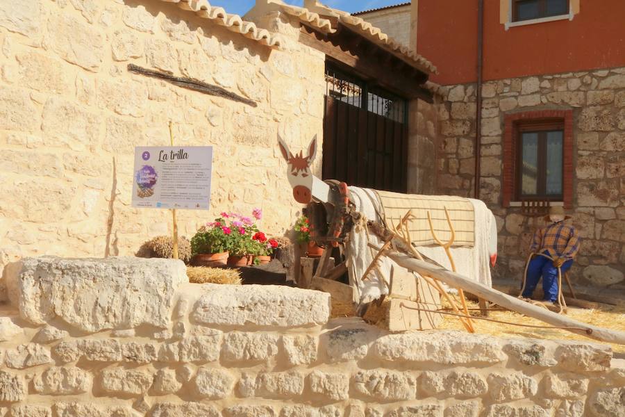 XX Fiesta de la Vendimia del Arlanza en Valdecañas de Cerrato (1/3)