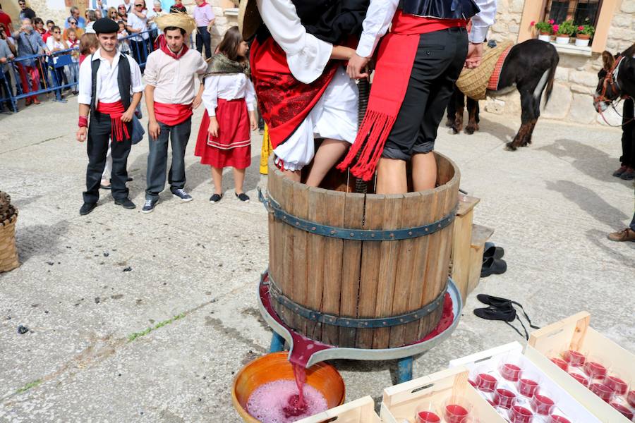 XX Fiesta de la Vendimia del Arlanza en Valdecañas de Cerrato (1/3)
