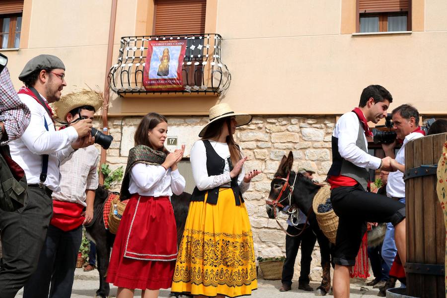 XX Fiesta de la Vendimia del Arlanza en Valdecañas de Cerrato (1/3)