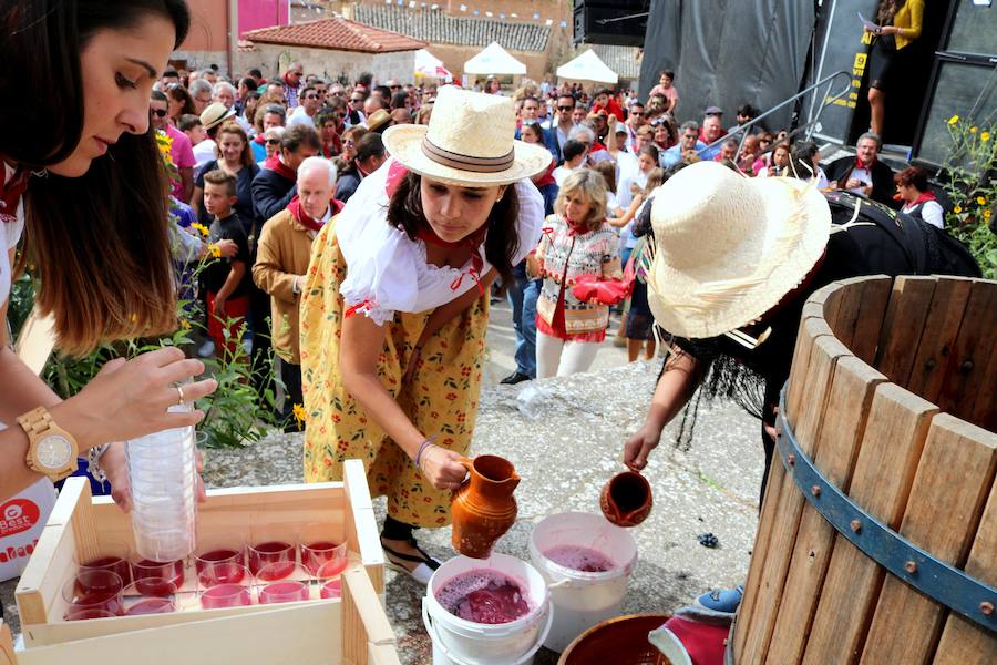 XX Fiesta de la Vendimia del Arlanza en Valdecañas de Cerrato (1/3)