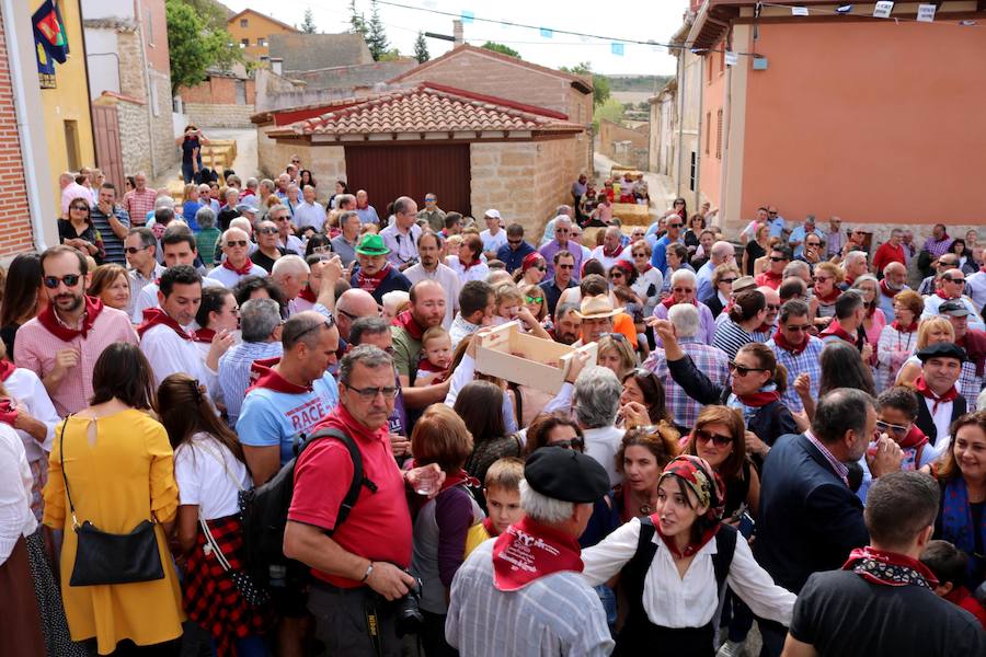 XX Fiesta de la Vendimia del Arlanza en Valdecañas de Cerrato (1/3)