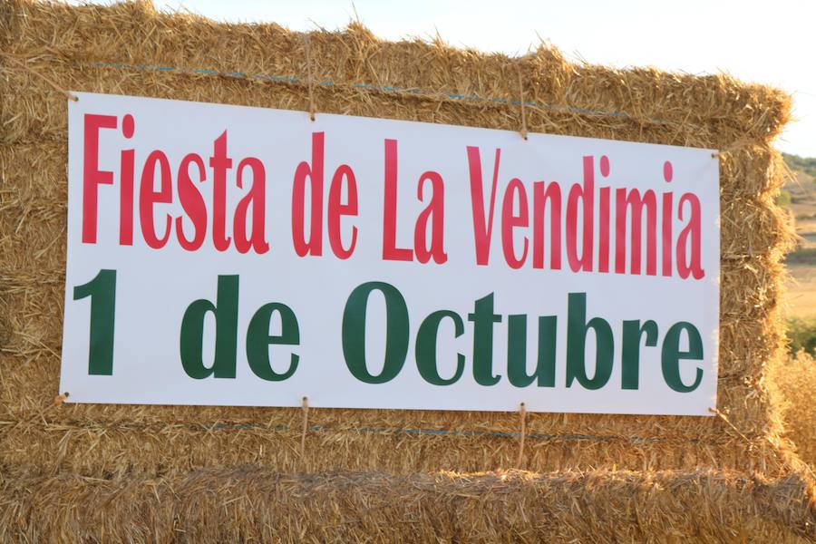 XX Fiesta de la Vendimia del Arlanza en Valdecañas de Cerrato (2/3)