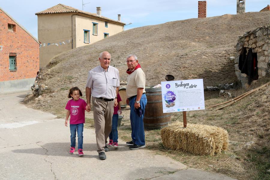 XX Fiesta de la Vendimia del Arlanza en Valdecañas de Cerrato (2/3)