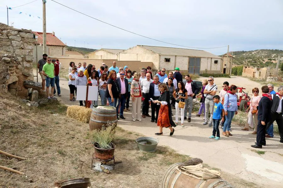 XX Fiesta de la Vendimia del Arlanza en Valdecañas de Cerrato (2/3)