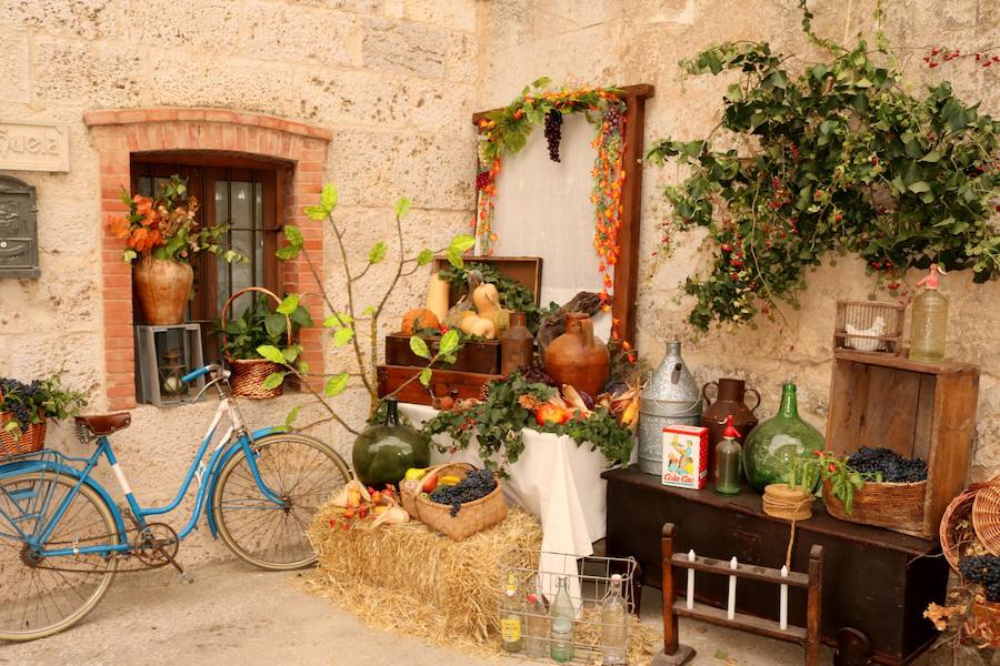 XX Fiesta de la Vendimia del Arlanza en Valdecañas de Cerrato (3/3)