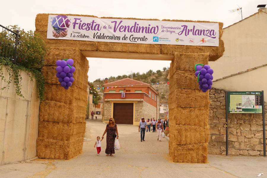 XX Fiesta de la Vendimia del Arlanza en Valdecañas de Cerrato (3/3)