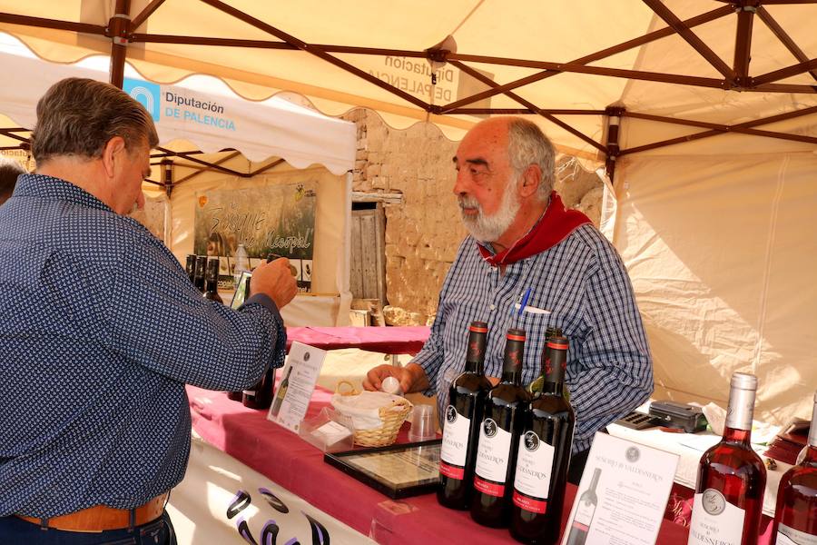 XX Fiesta de la Vendimia del Arlanza en Valdecañas de Cerrato (3/3)