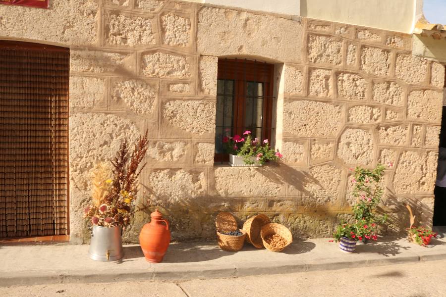 XX Fiesta de la Vendimia del Arlanza en Valdecañas de Cerrato (3/3)