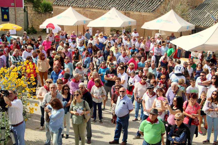 XX Fiesta de la Vendimia del Arlanza en Valdecañas de Cerrato (3/3)