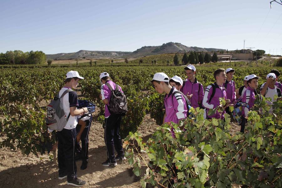 Durante la entrega de los galardones, los estudiantes participaron en distintas actividades de recreo y didácticas en un viñedo del grupo bodeguero familiar Emilio Moro, organizador del certamen